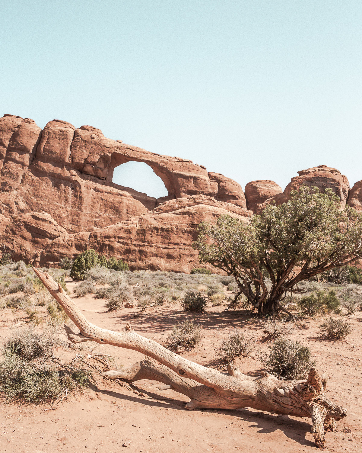 Arches is one of the best Southwest national parks and ended up being one of my favorites during my solo USA road trip.