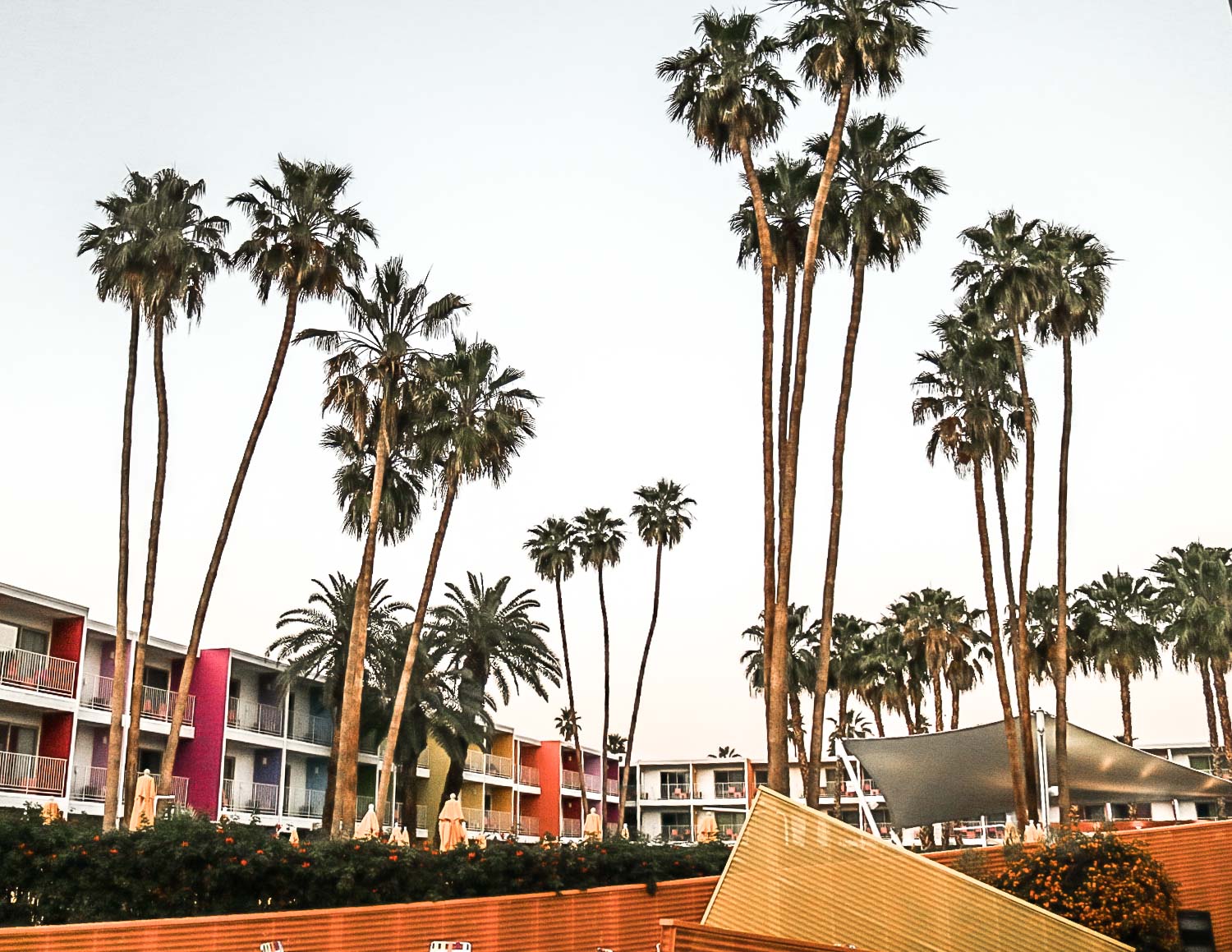 Sunset at the Saguaro Hotel.
