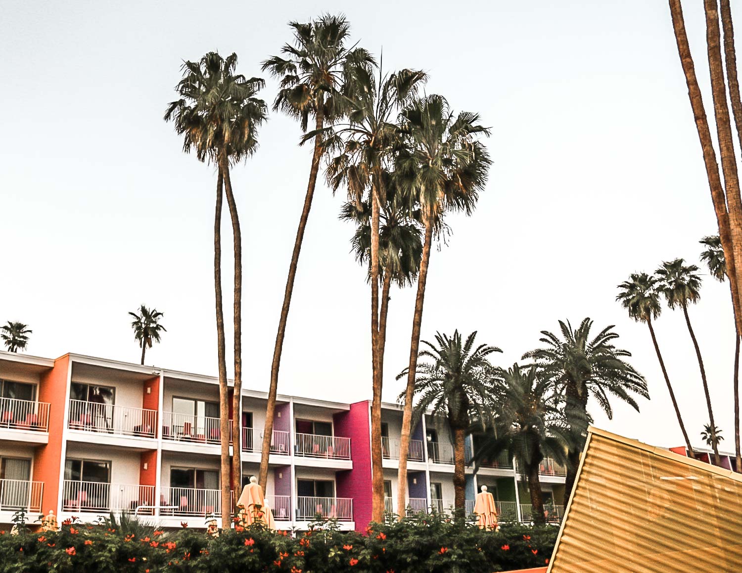 Sunset at the Saguaro Hotel.