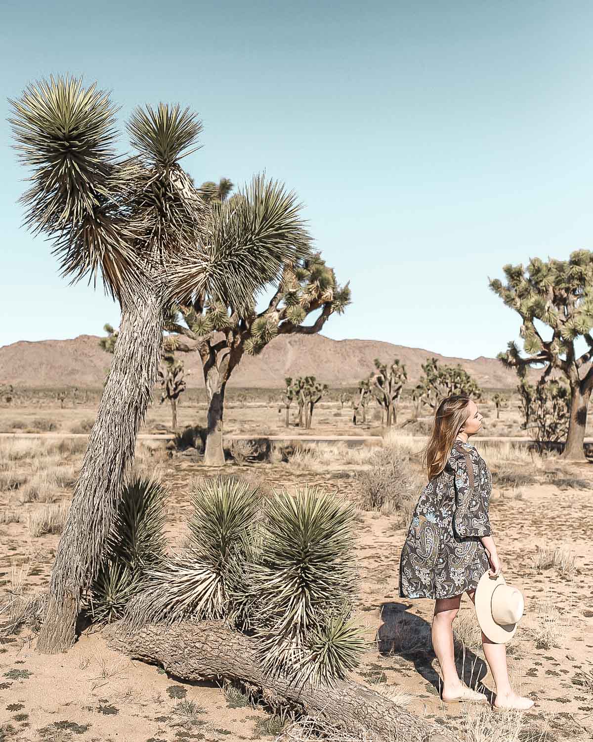 Product shot featuring Free People mini dress in Joshua Tree, California desert - by Wanderfully Rylie.