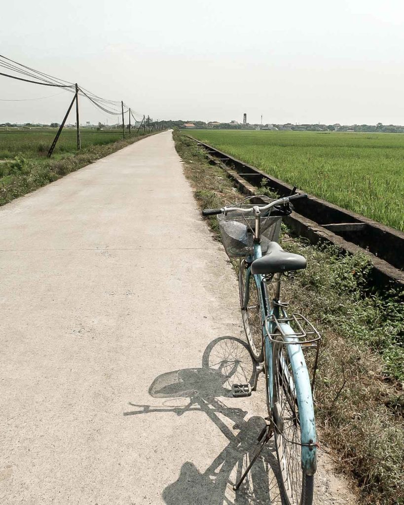 Visiting the rice fields in Ninh Binh, Vietnam