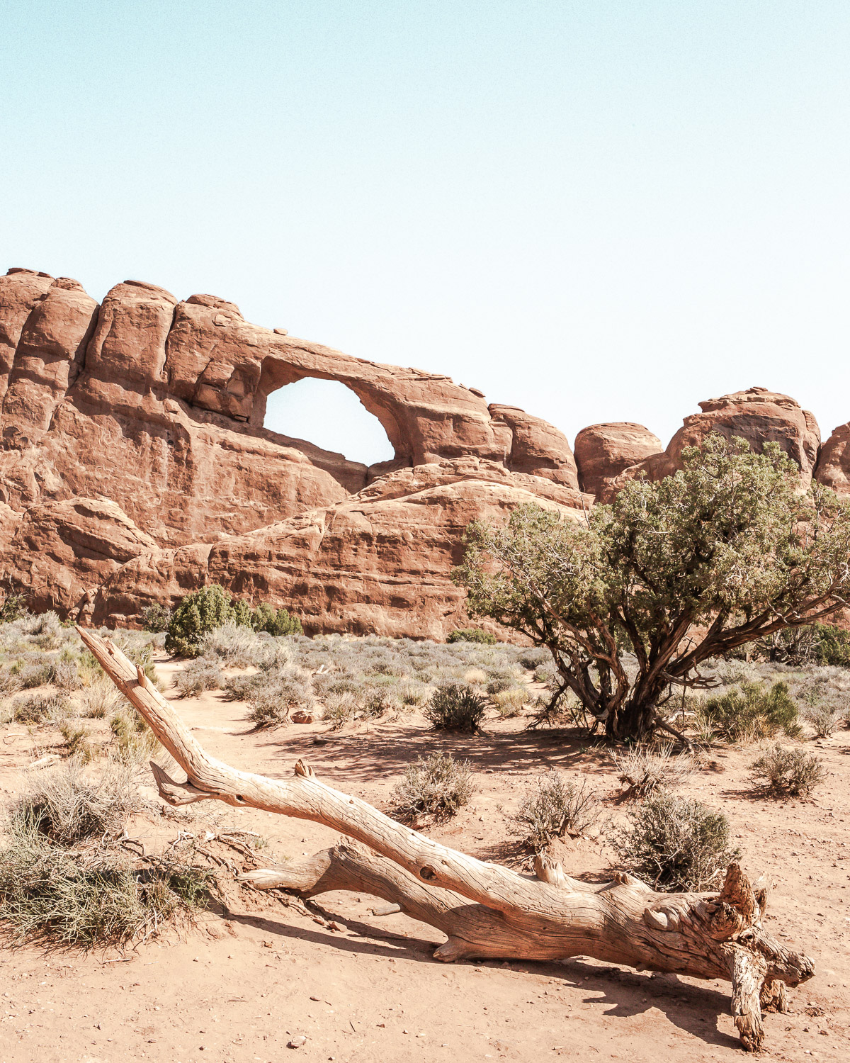 Skyline Arch is another quick and easy hike in Arches National Park.