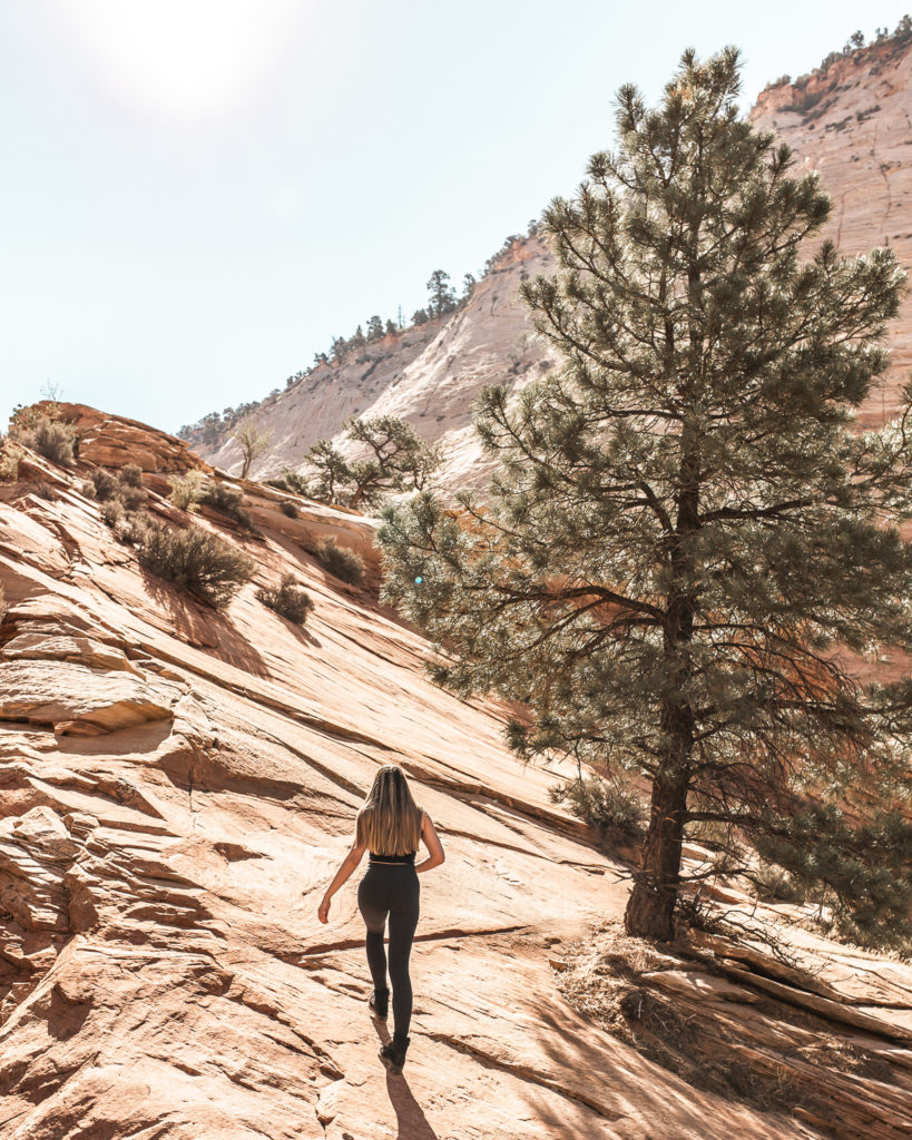 Zion Canyon Scenic Drive