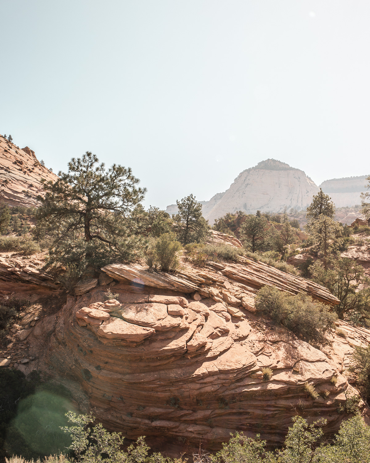 Zion Canyon Scenic Drive