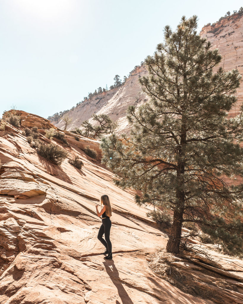 Zion Canyon Scenic Drive
