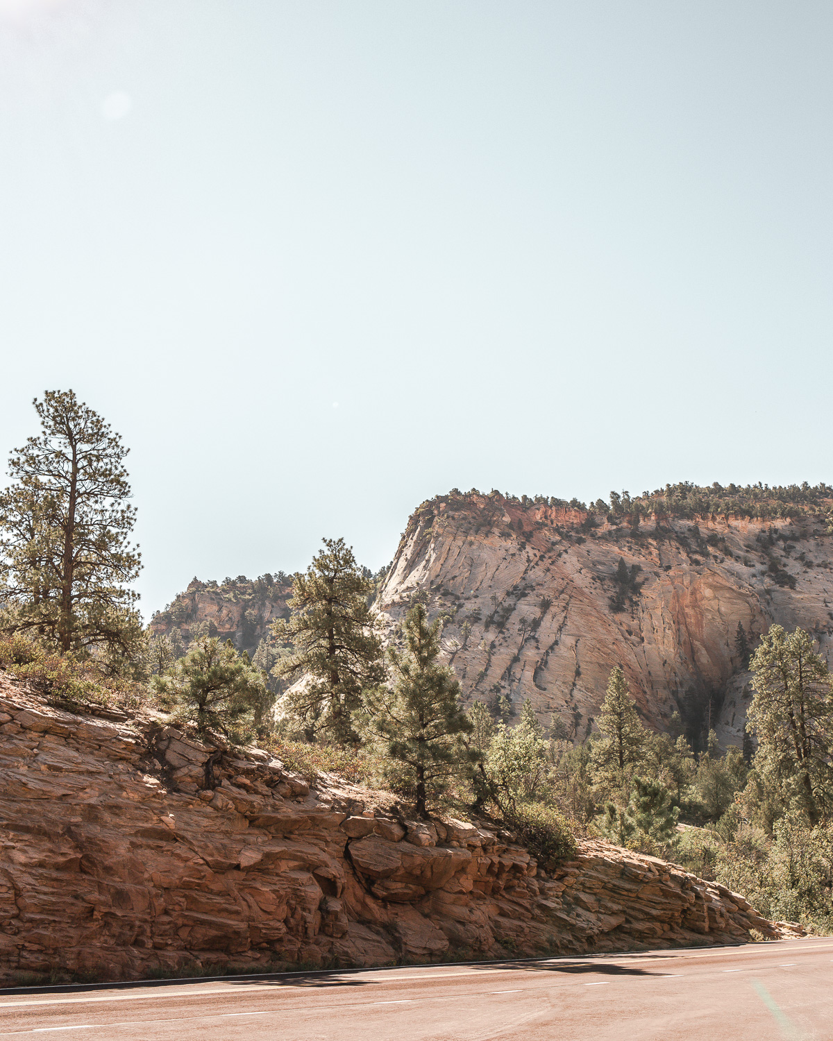 Zion Canyon Scenic Drive