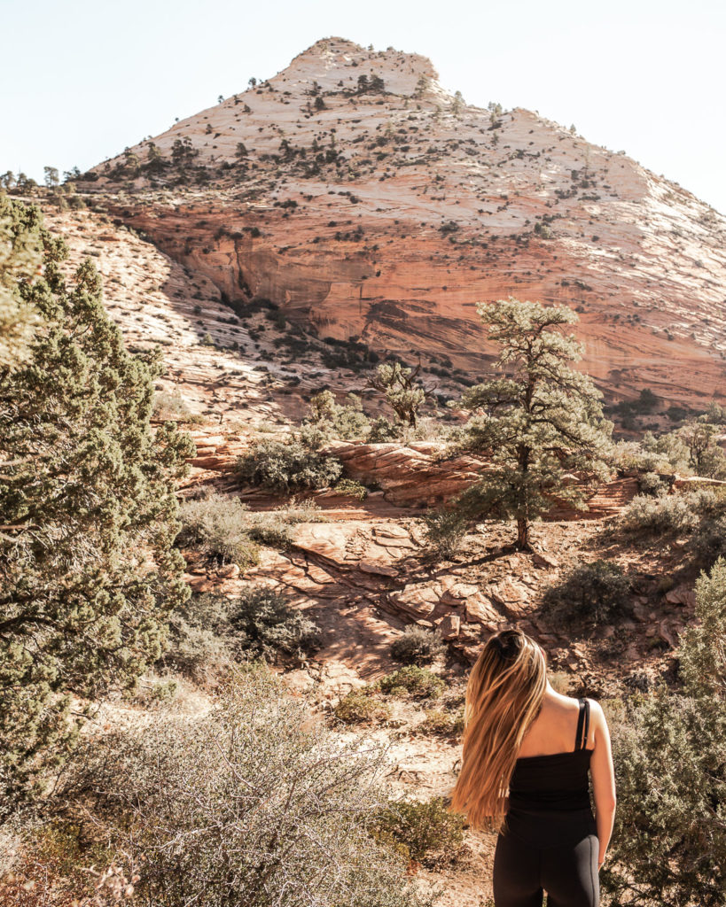 Zion Canyon Scenic Drive