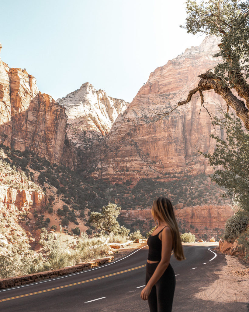 Zion Canyon Scenic Drive