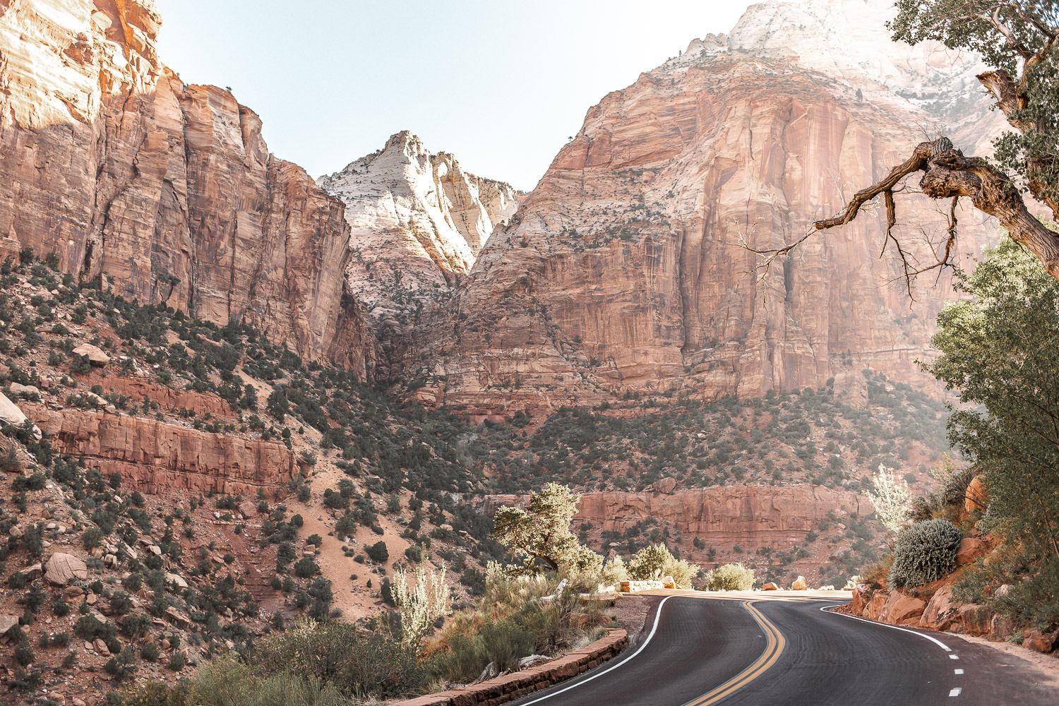 Zion Canyon Scenic Drive