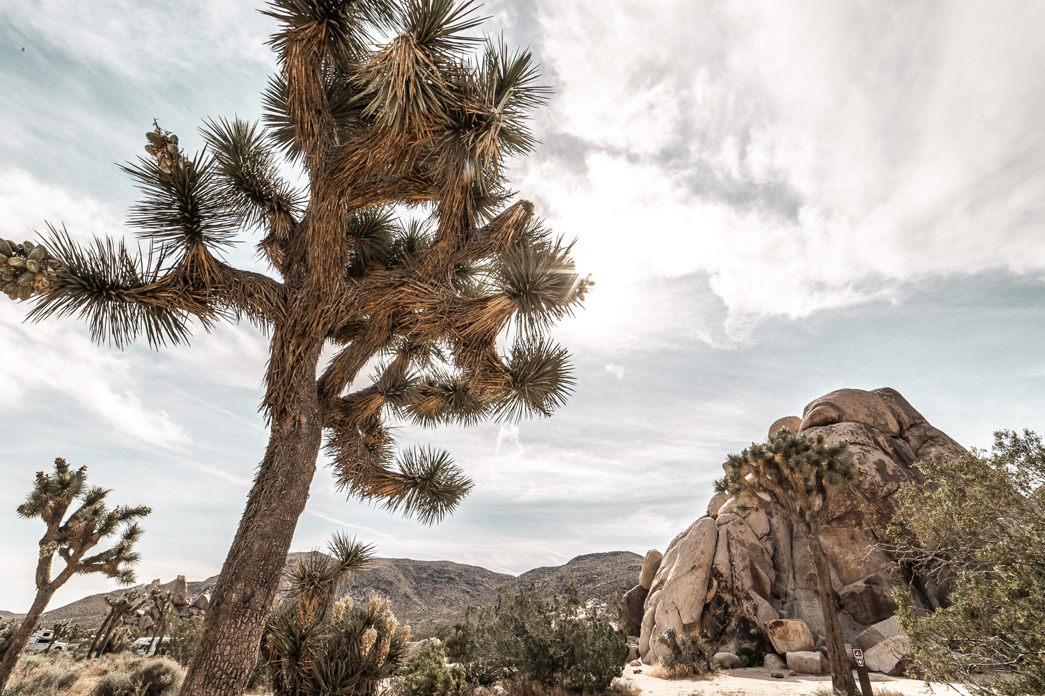 One of the many camping sites located in Joshua Tree National Park, California.