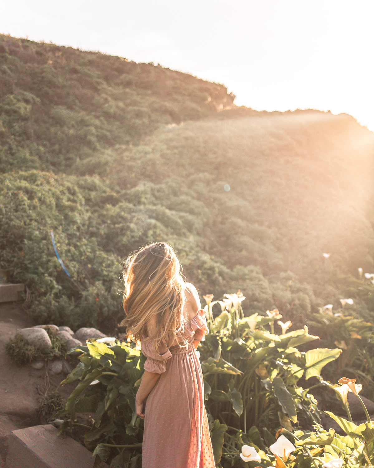 Calla Lily Valley in Garrapata State Beach · Golden hour light overlooking Big Sur, California