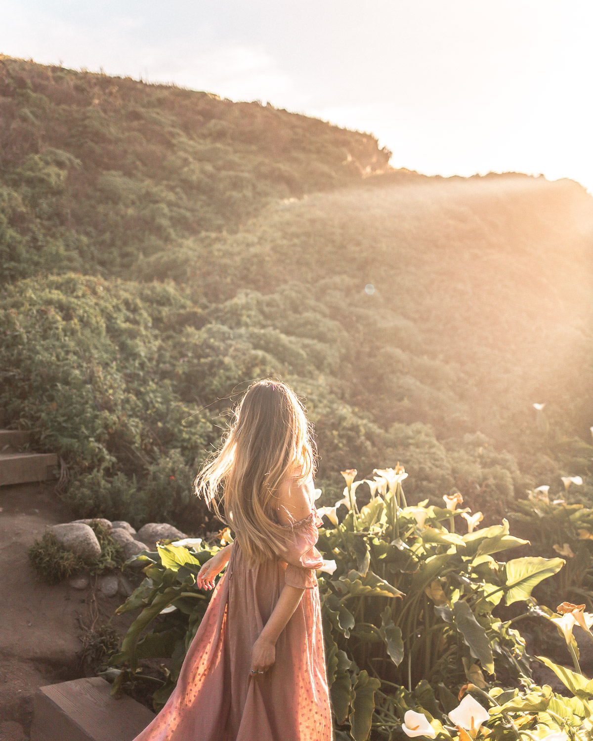Calla Lily Valley in Garrapata State Beach · Golden hour light along Highway 1 in Big Sur, California.