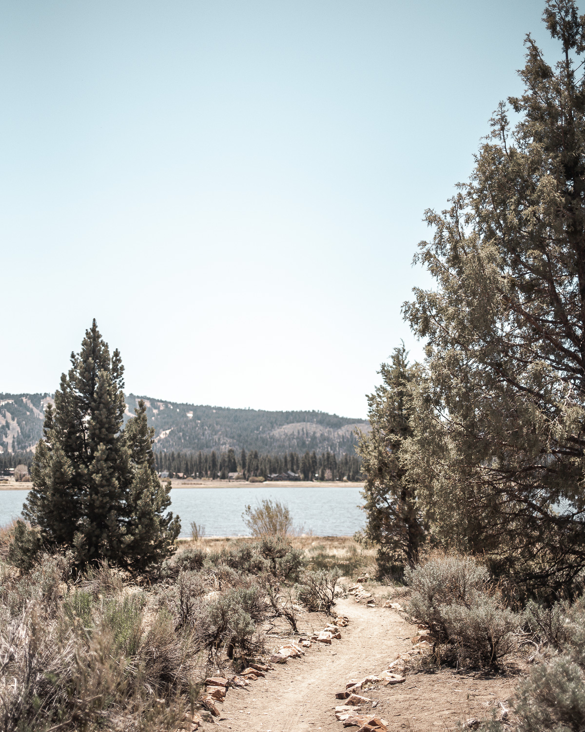 Alpine Pedal Path | 15 Best Things to Do in Big Bear Lake, California