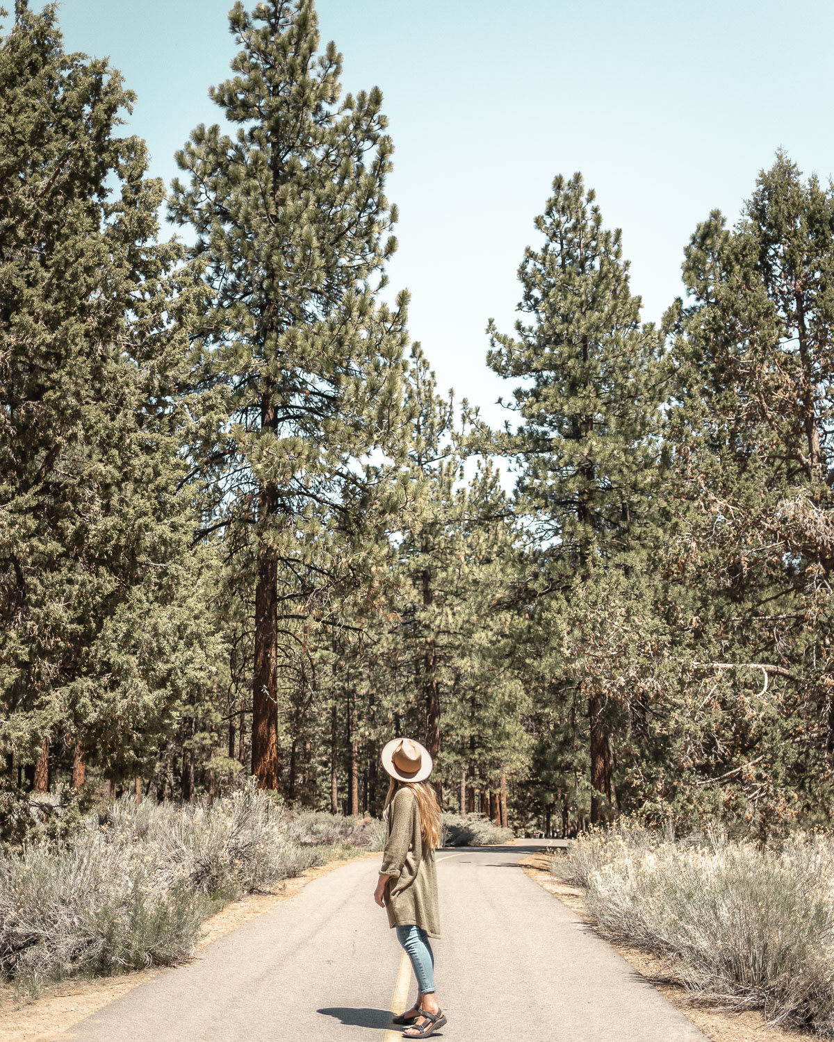 Alpine Pedal Path along Big Bear Lake | 15 Best Things to Do in Big Bear Lake, California