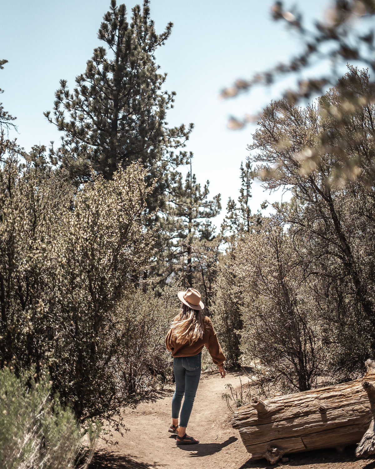 Woodland Trail | 15 Best Things to Do in Big Bear Lake, California